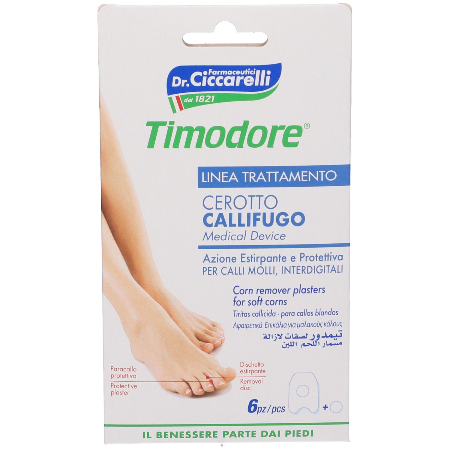 901178828 - CICCARELLI*CER CALLI MOLLI 6PZ