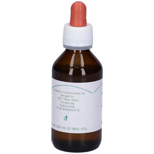 901509149 - BETULA VERRUCOSA 100ML MG