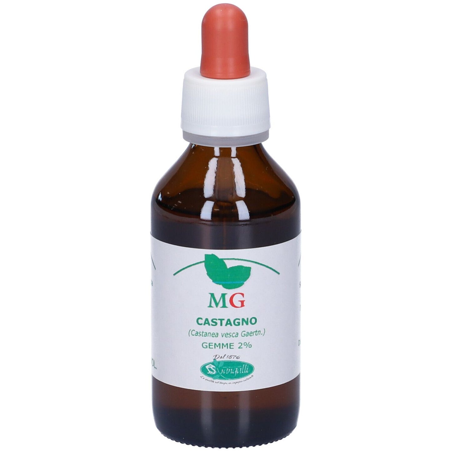 CASTAGNO 100ML MG