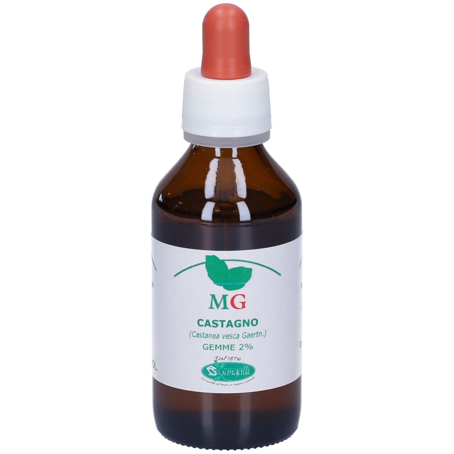 CASTAGNO 100ML MG