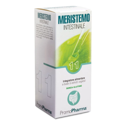 902229463 - MERISTEMO 11 INTESTINALE 100ML