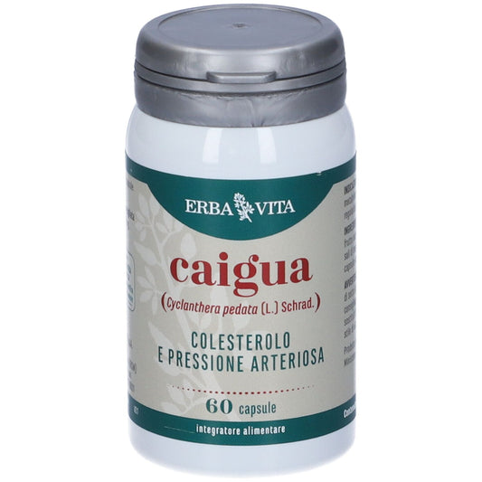 902654779 - CAIGUA 60CPS 400MG ERBAVITA