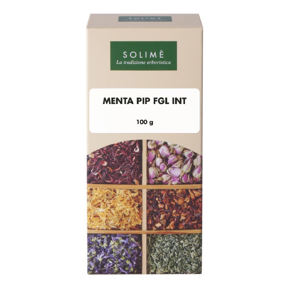 902668843 - MENTA PIPERITA FGL INTERE 100G
