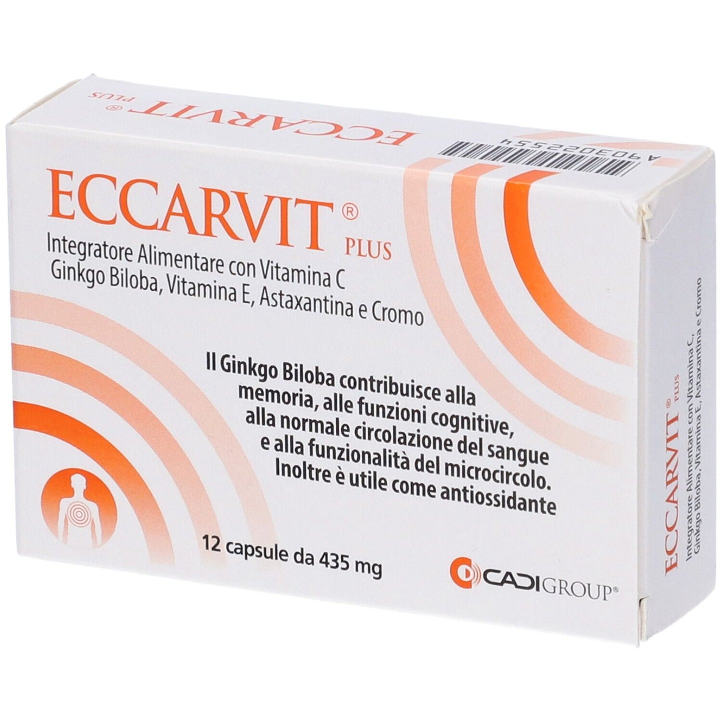 903022554 - ECCARVIT PLUS 12CPS