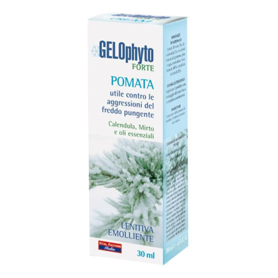 GELOPHYTO FORTE POMATA 30ML