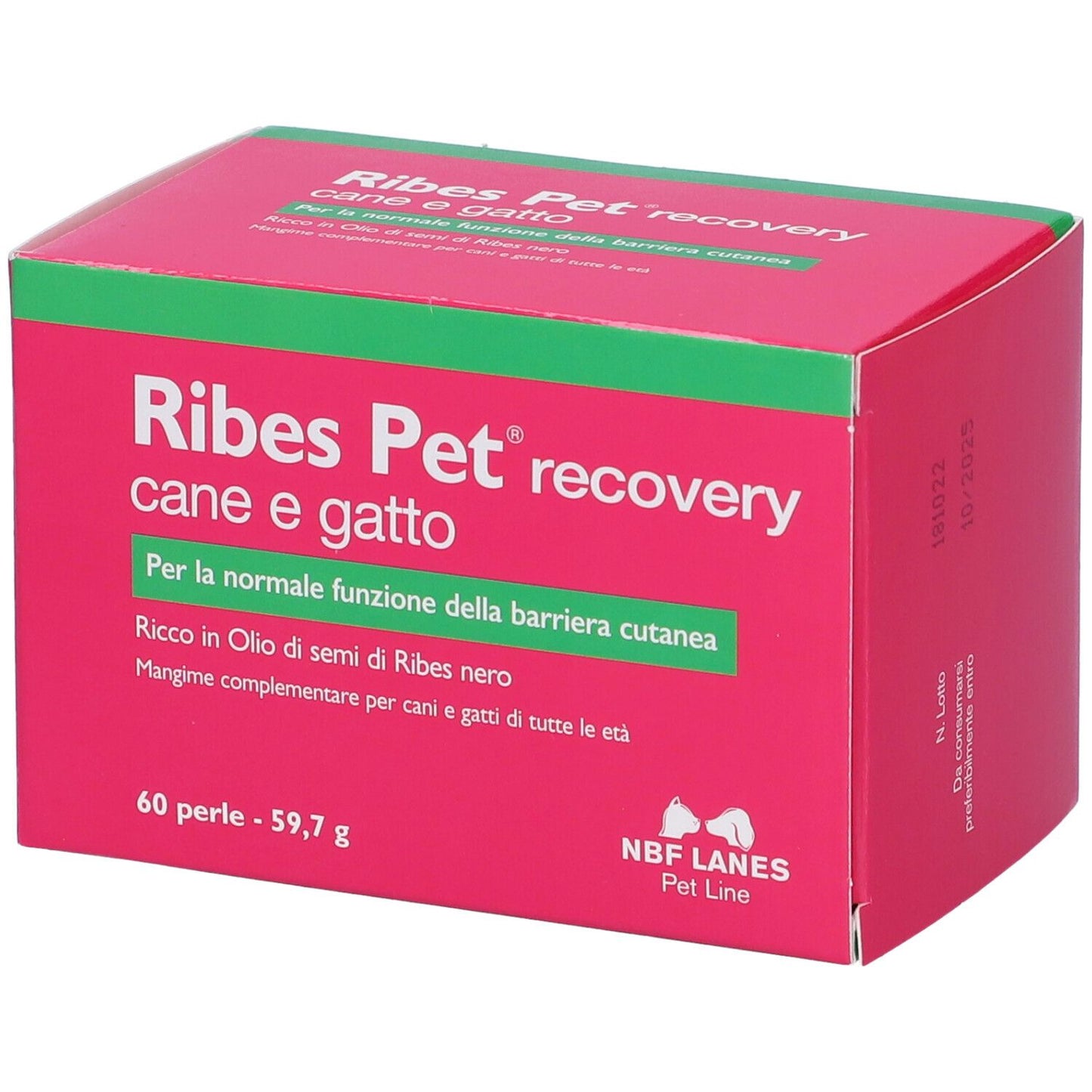 903596765 - RIBES PET RECOVERY 60PRL