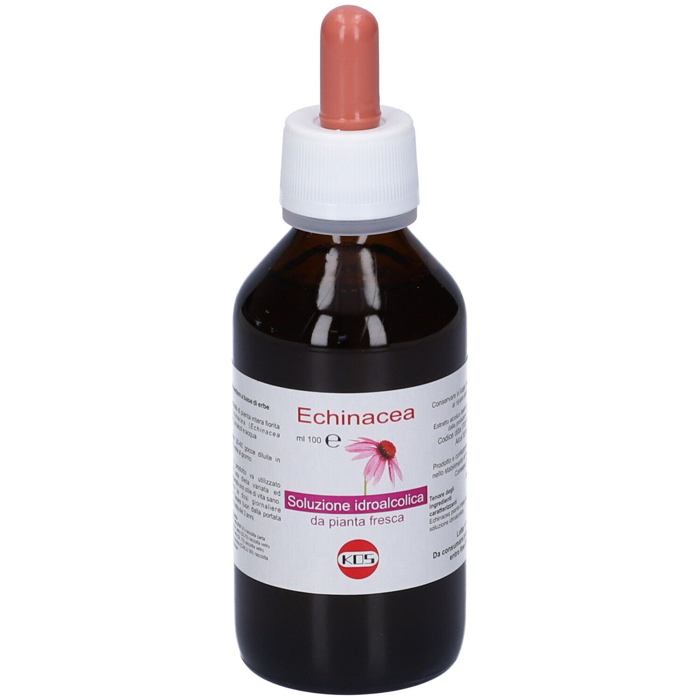 904558929 - ECHINACEA SOL IAL PIANTA FR100