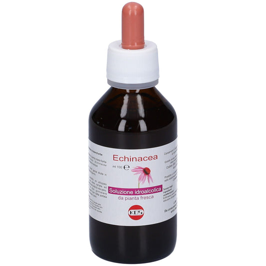 904558929 - ECHINACEA SOL IAL PIANTA FR100