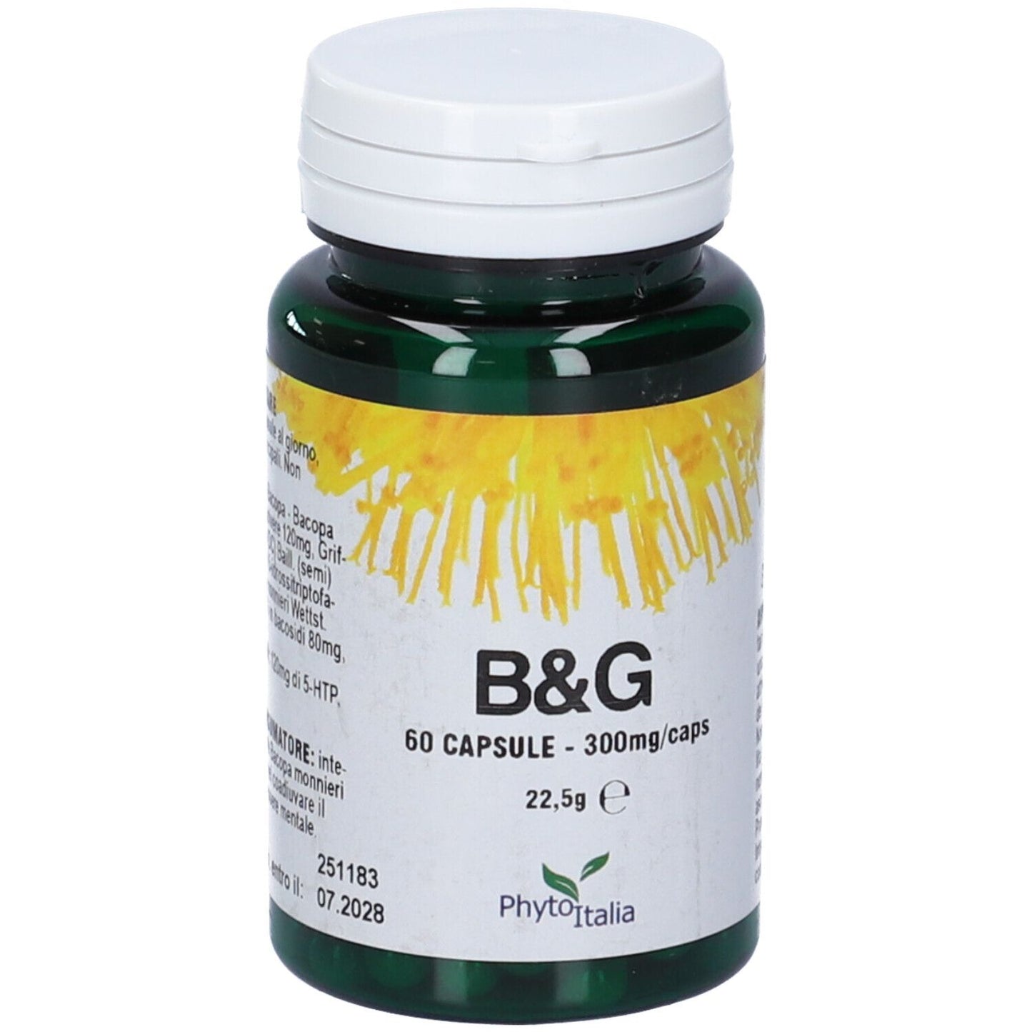 B&G 60CPS
