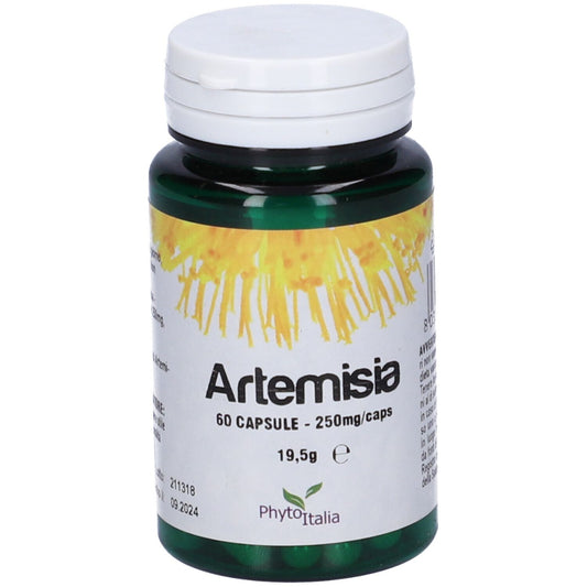 ARTEMISIA 60CPS