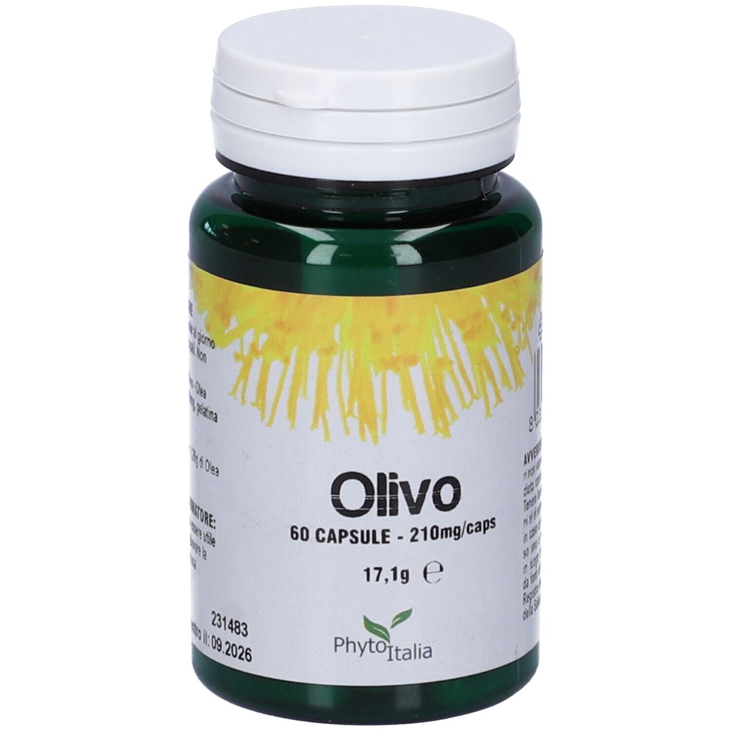 904795453 - OLIVO 60CPS