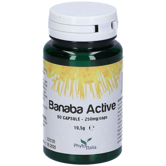 BANABA ACTIVE 60CPS PHYTOIT