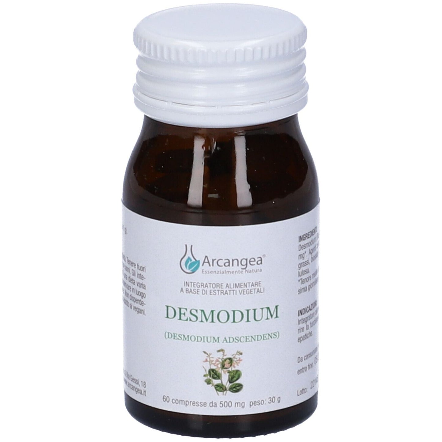 904907894 - DESMODIUM 60CPS 500MG