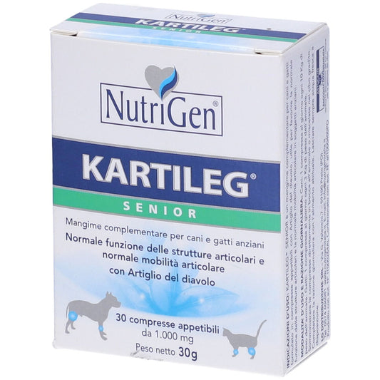 904912401 - KARTILEG SENIOR 30TAV
