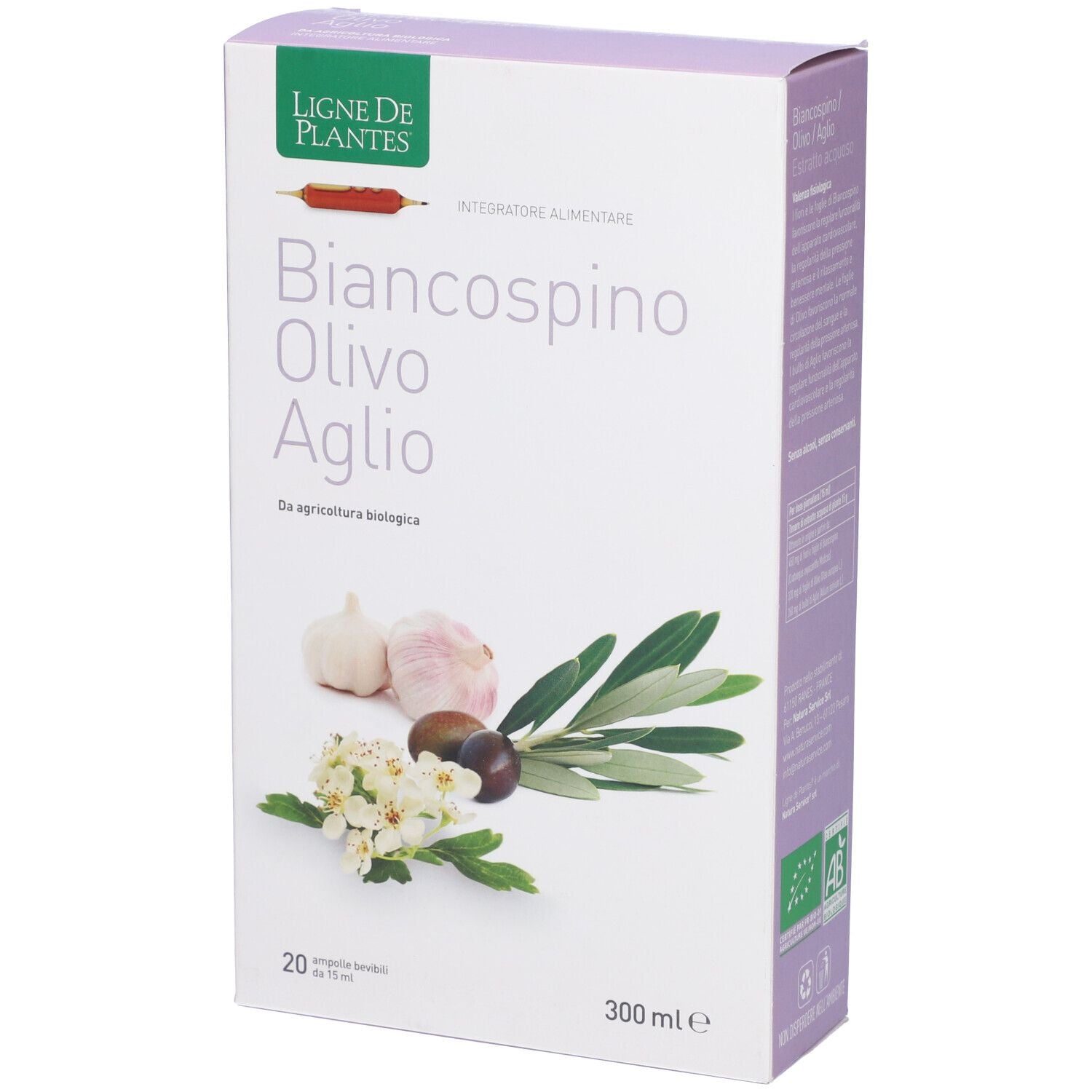 904935766 - BIANCOSPINO/OLIVO/AGL 20ABX15M