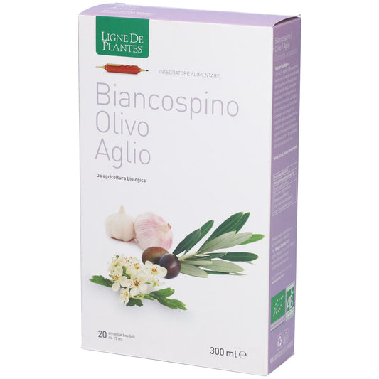 904935766 - BIANCOSPINO/OLIVO/AGL 20ABX15M
