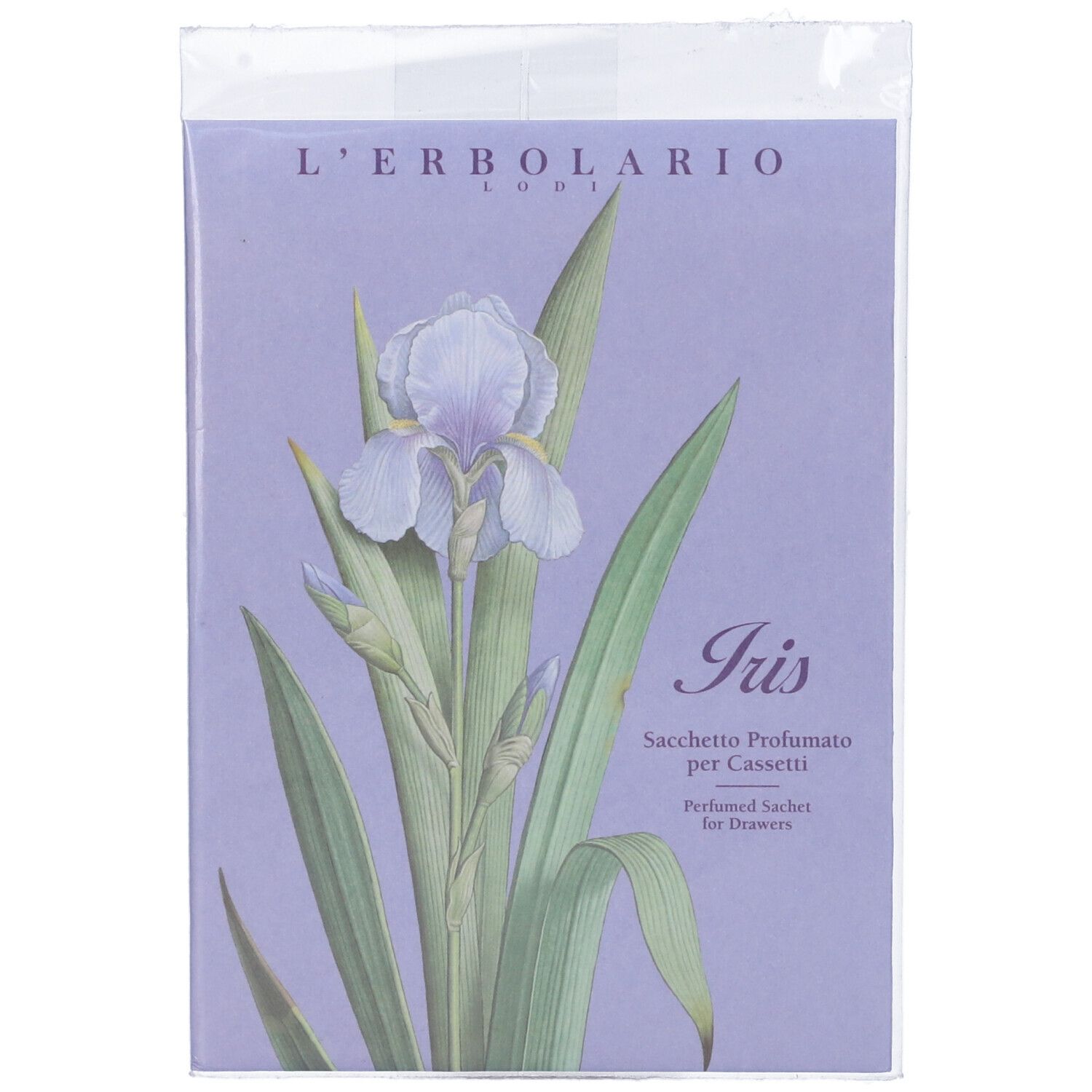 905577173 - IRIS SACCHETTO PROF CASSETTI