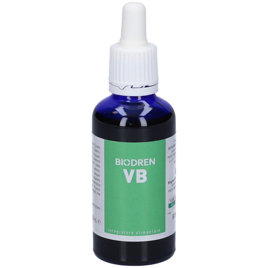 906621976 - BIODREN VB 50ML BIOGROUP
