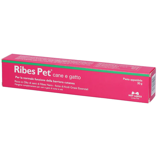 907136737 - RIBES PET PASTA 30G