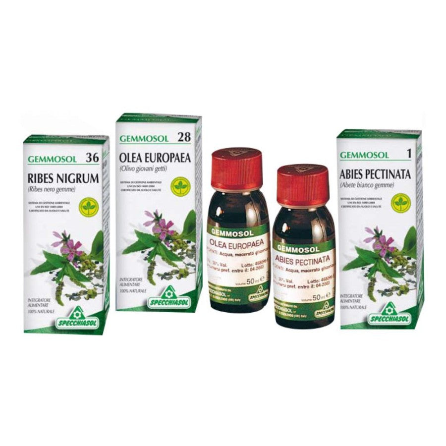 SORBUS DOMES.1DH Gemme 50ml