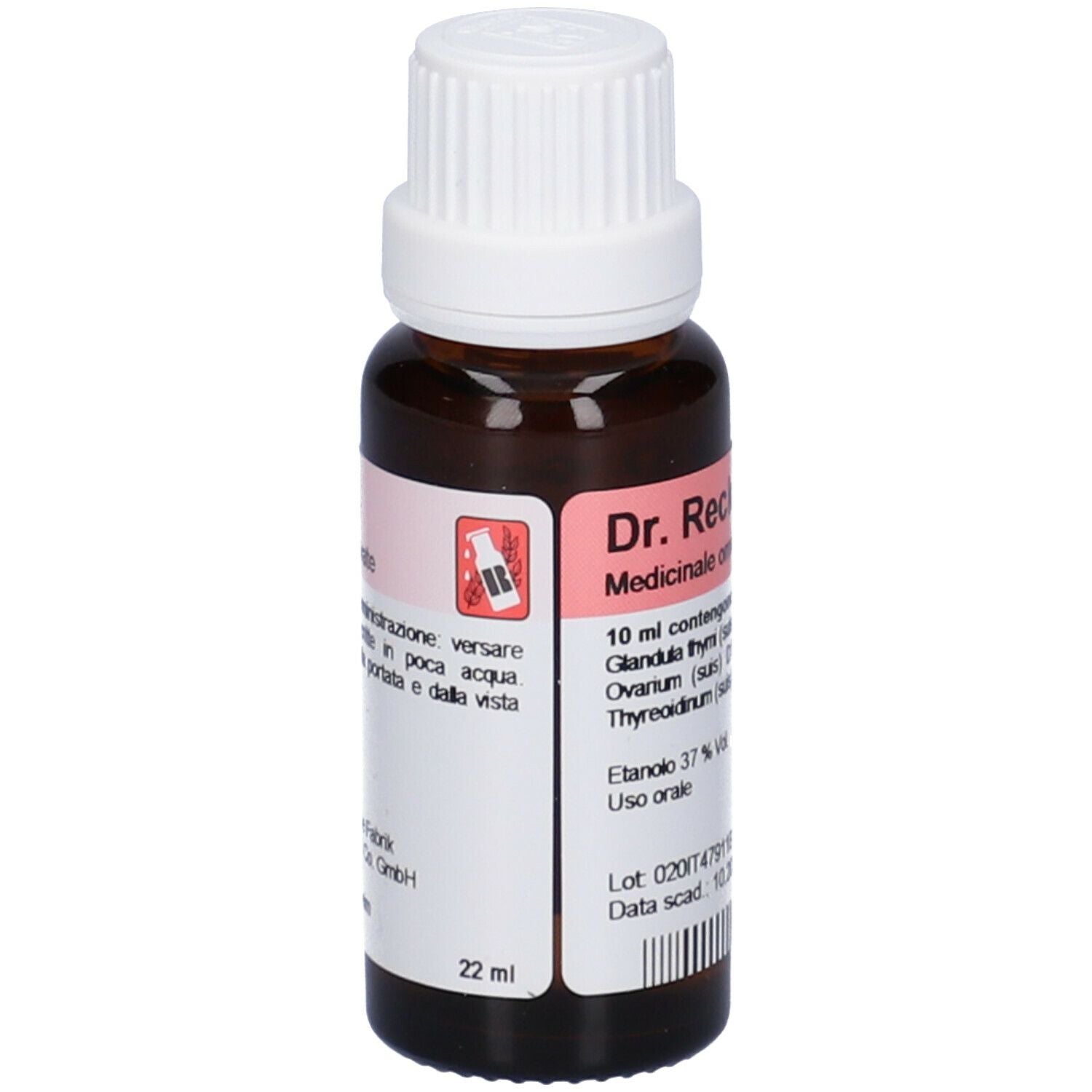 RECKEWEG R20 GOCCE 22ML