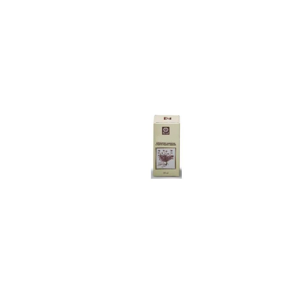 BARDANA ESTR ANALC 50ML 789 EC