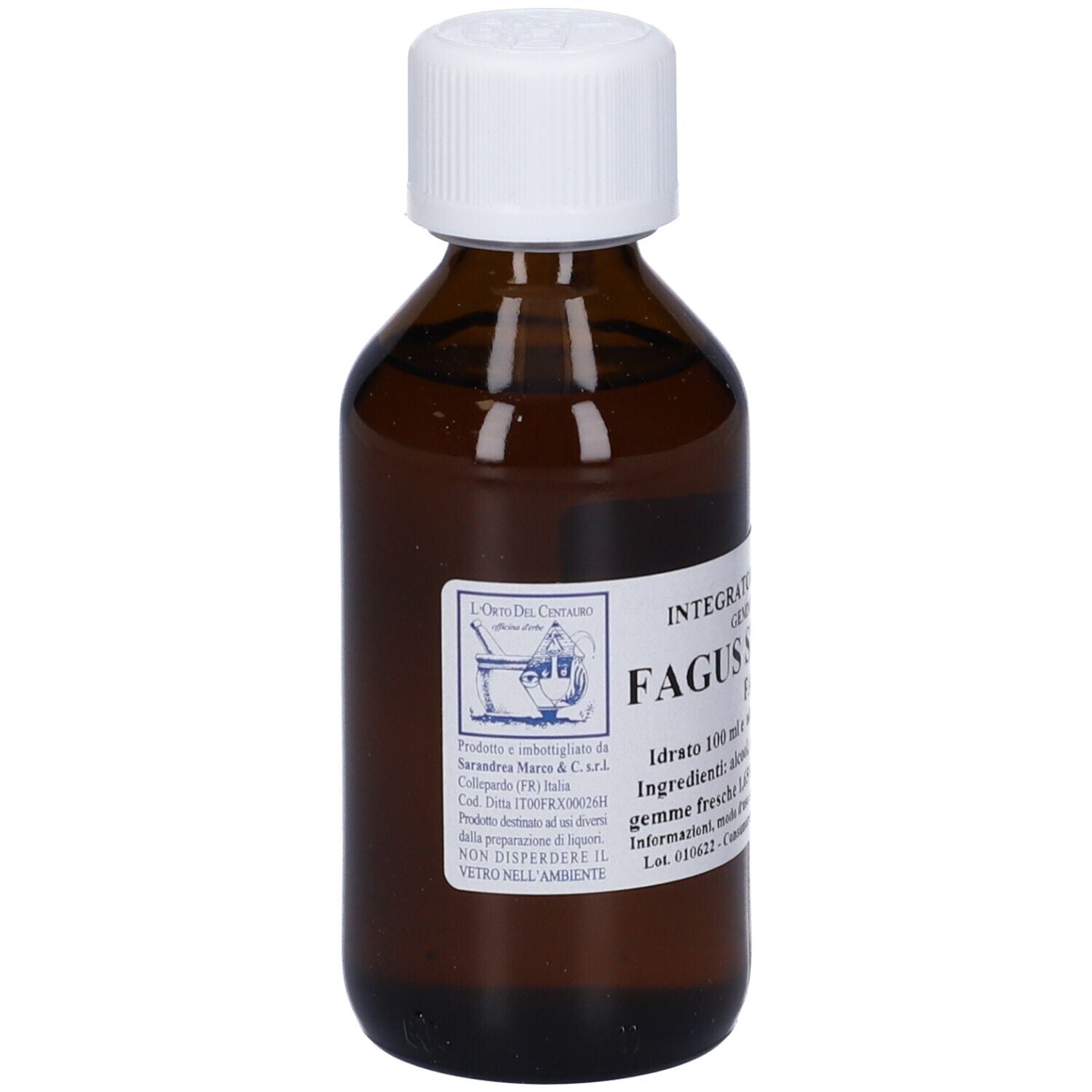 FAGUS SYLVATICA 100ML MG