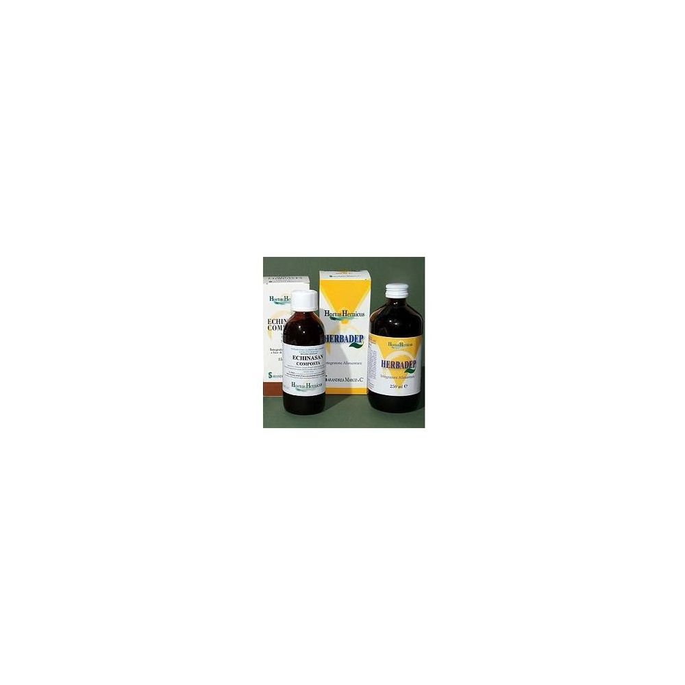 ECHINASAN COMP 150ML