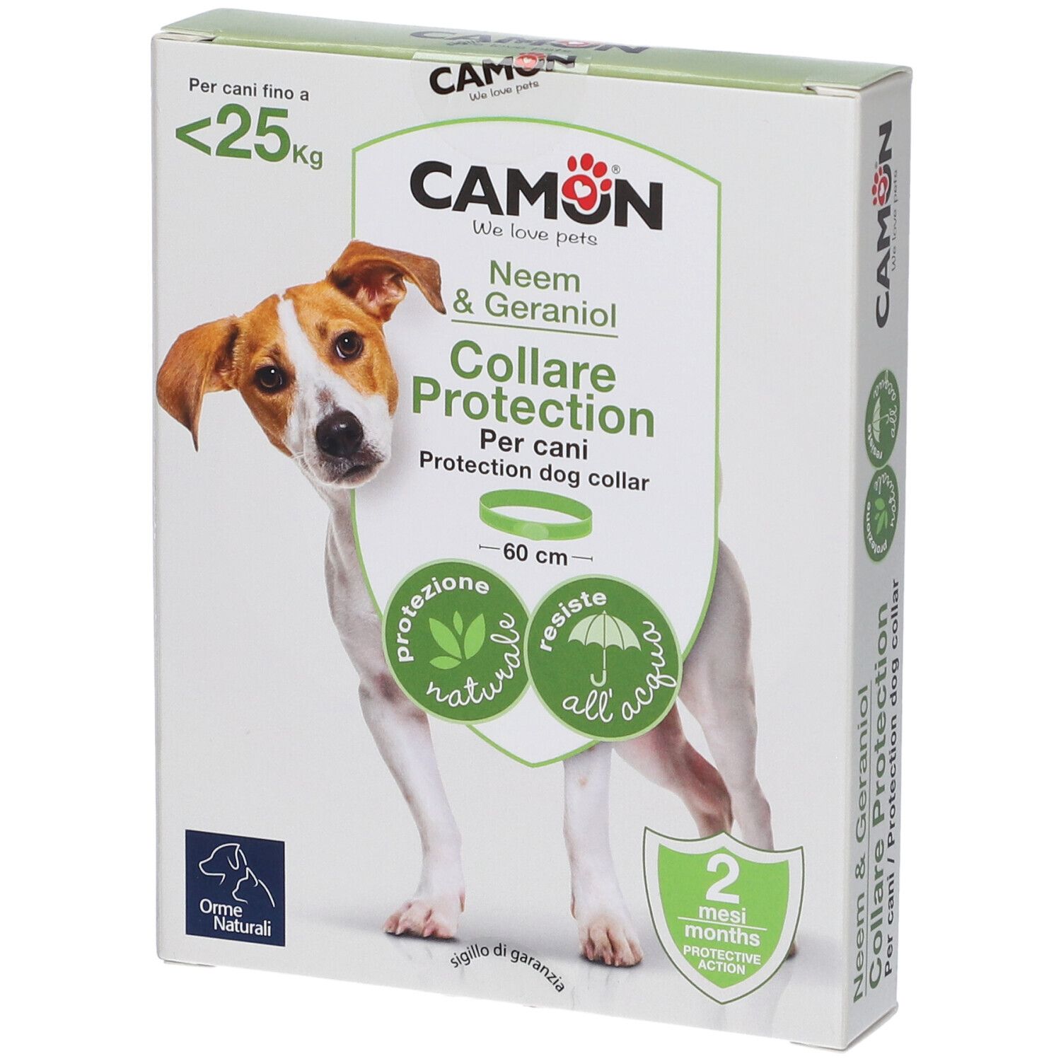 920586880 - PROTECTION COLLARE BARR CANE
