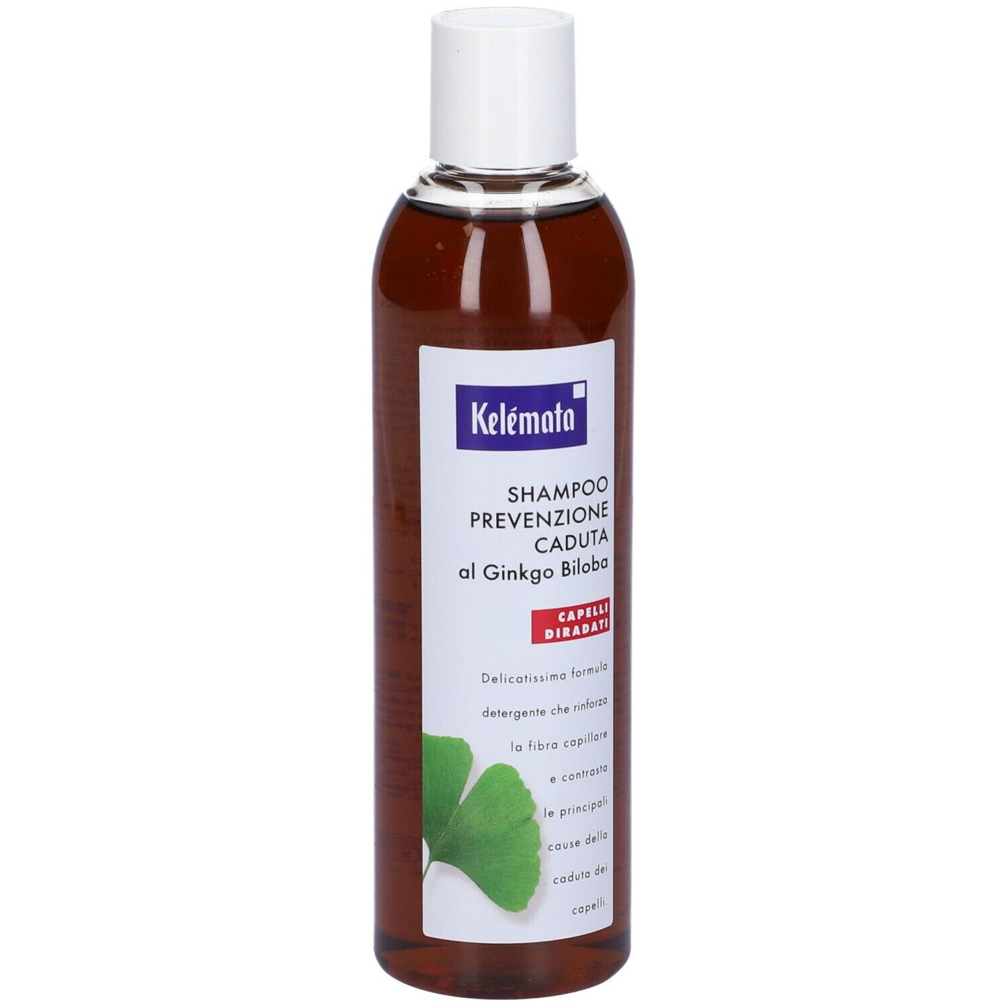 SHAMPOO PREV CAD GINKGO BILOBA