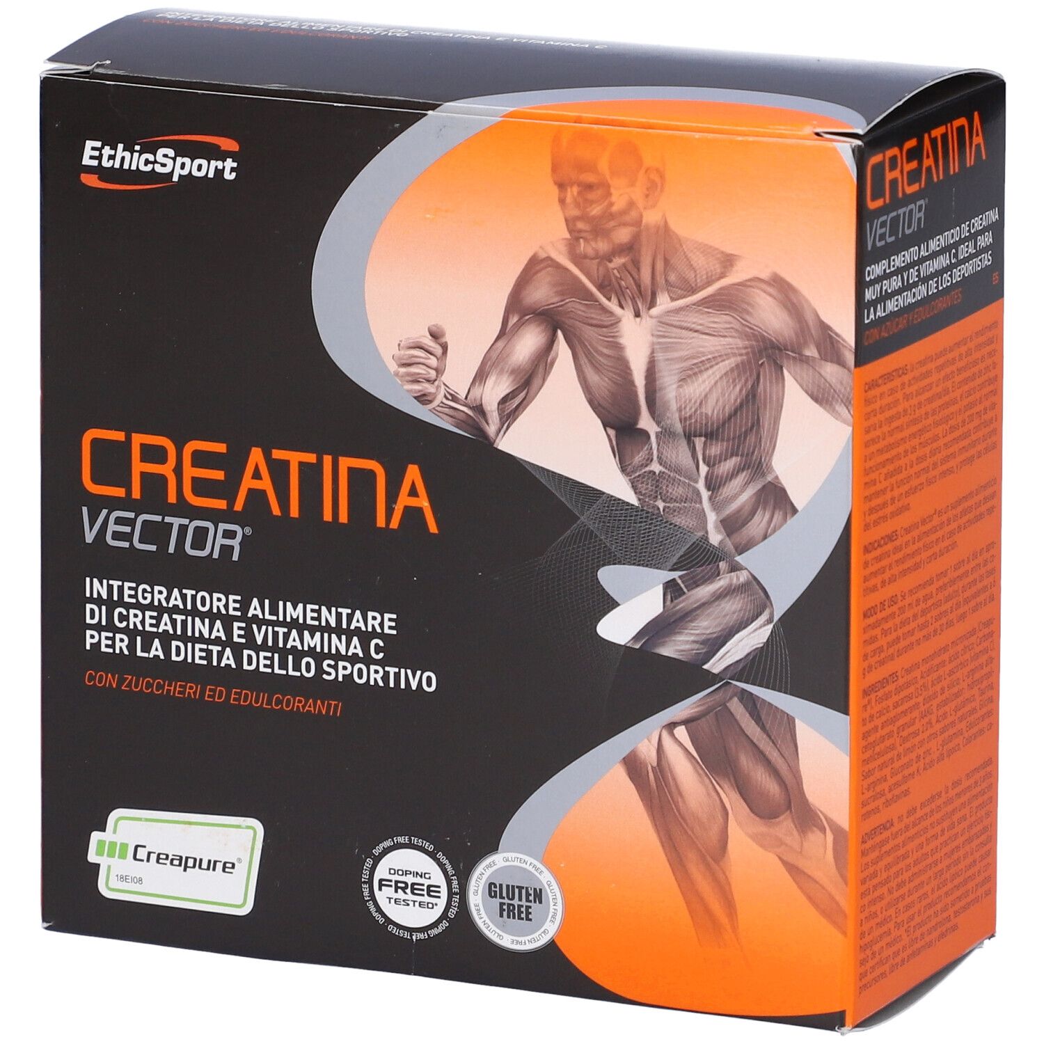 923210153 - CREATINA VECTOR 20BUST 8G
