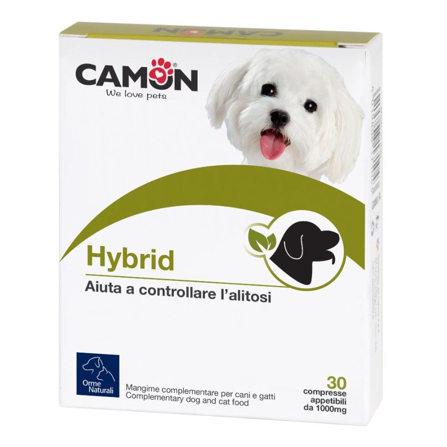 HYBRID ORME NAT 60CPR
