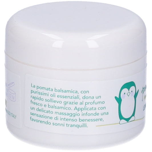 924414396 - NUTRA JUNIOR POMATA BALSAMICA