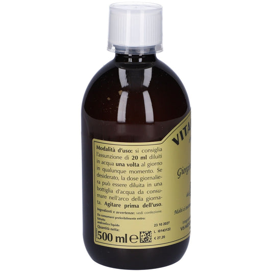 926834021 - VITAMIN 100 LIQUIDO ANALC500ML
