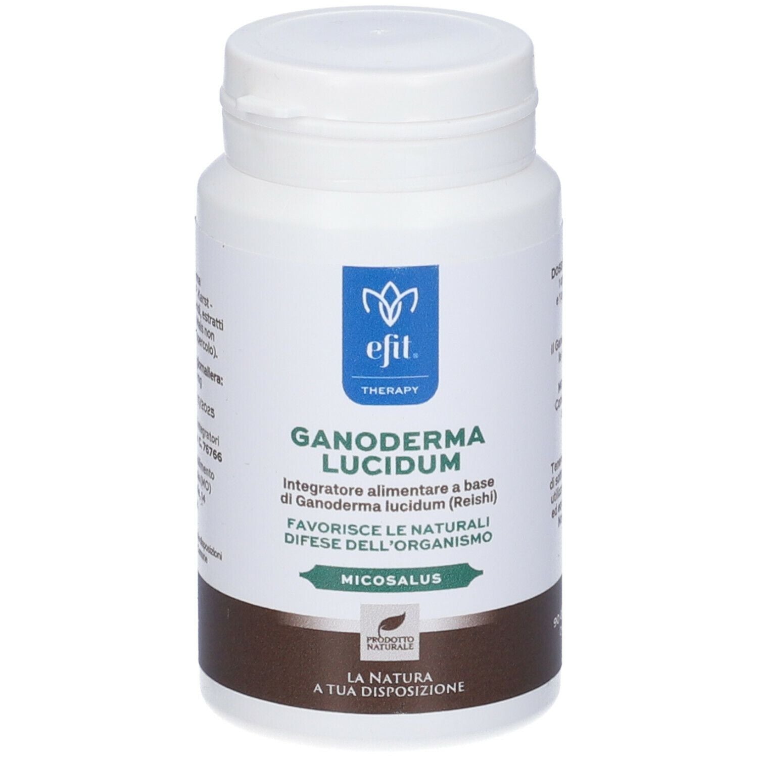 926975451 - GANODERMA LUCIDUM-REISHI 90OPR