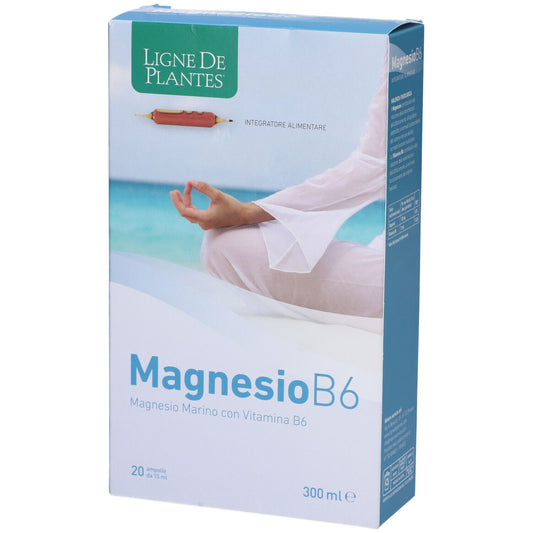 MAGNESIO B6 20AB 15ML
