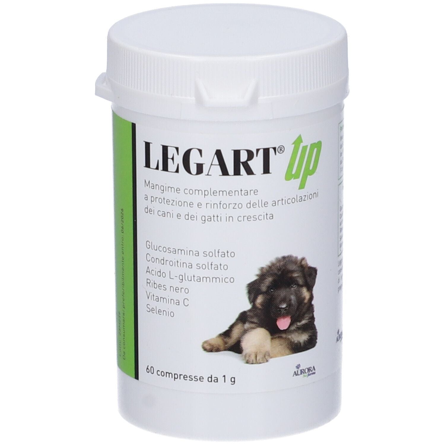 LEGART UP 60CPR