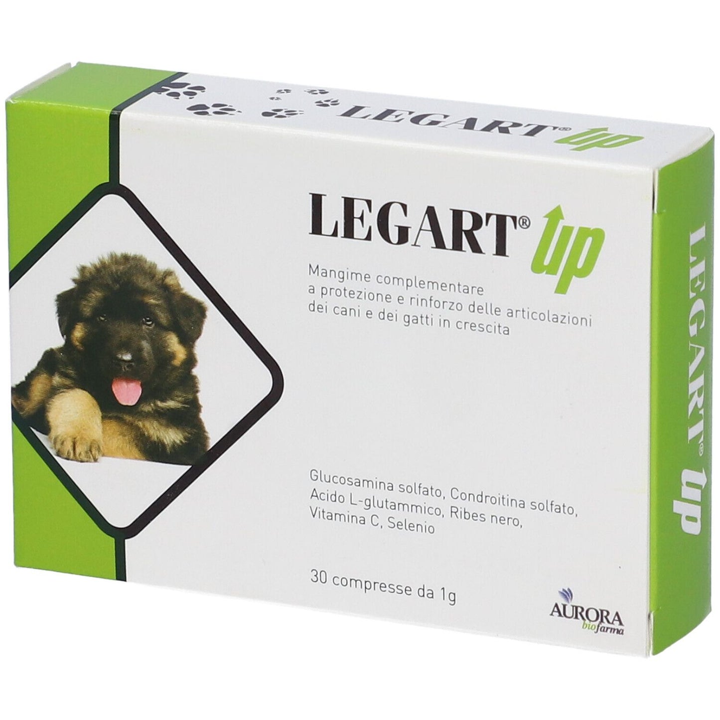 933907519 - LEGART UP 30CPR