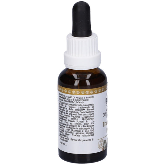 935168839 - TRANSITION PETS 30ML