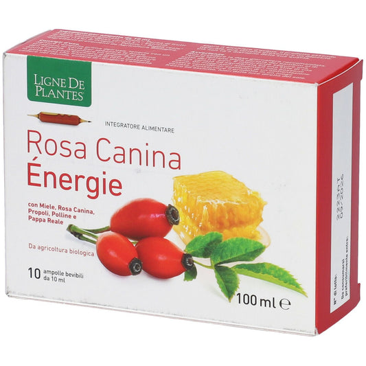 ROSA CANINA ENERGIE BIO 10AB