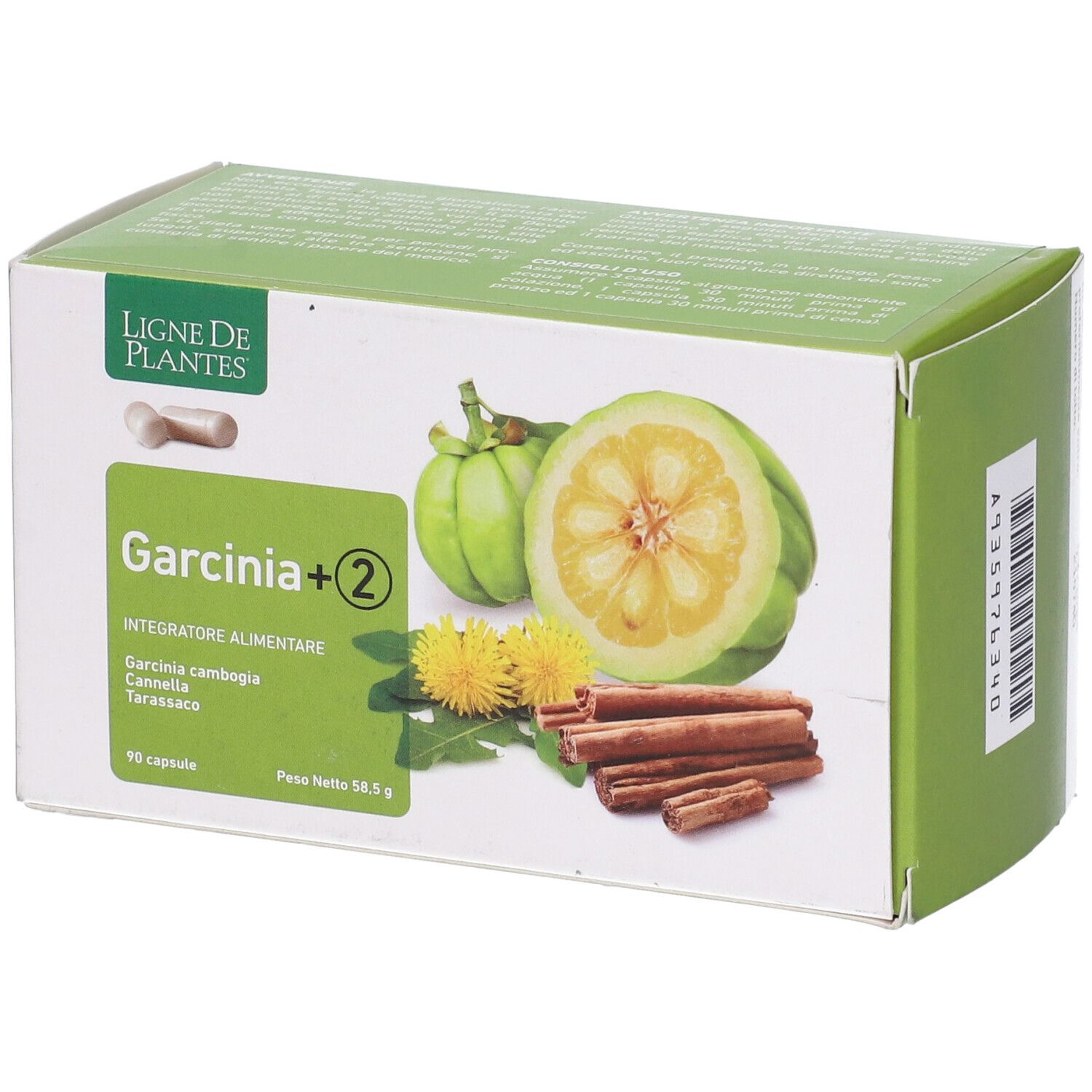 GARCINIA +2 90CPS