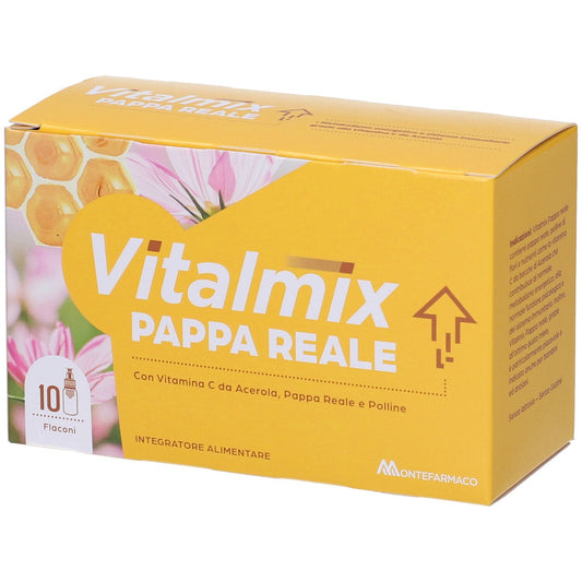 939683506 - VITALMIX PAPPA REALE 10FL
