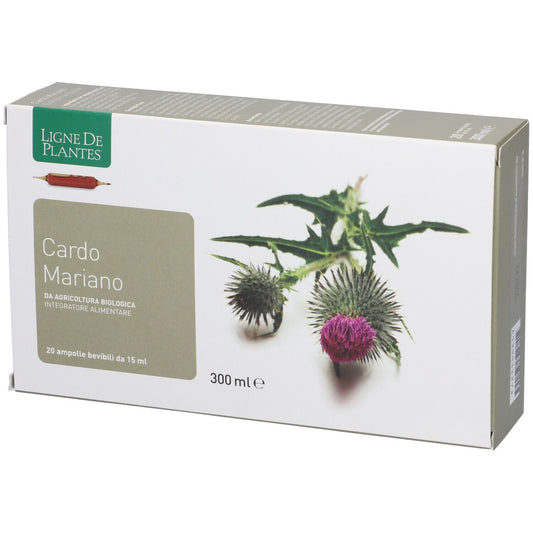 CARDO MARIANO 20AB 15ML