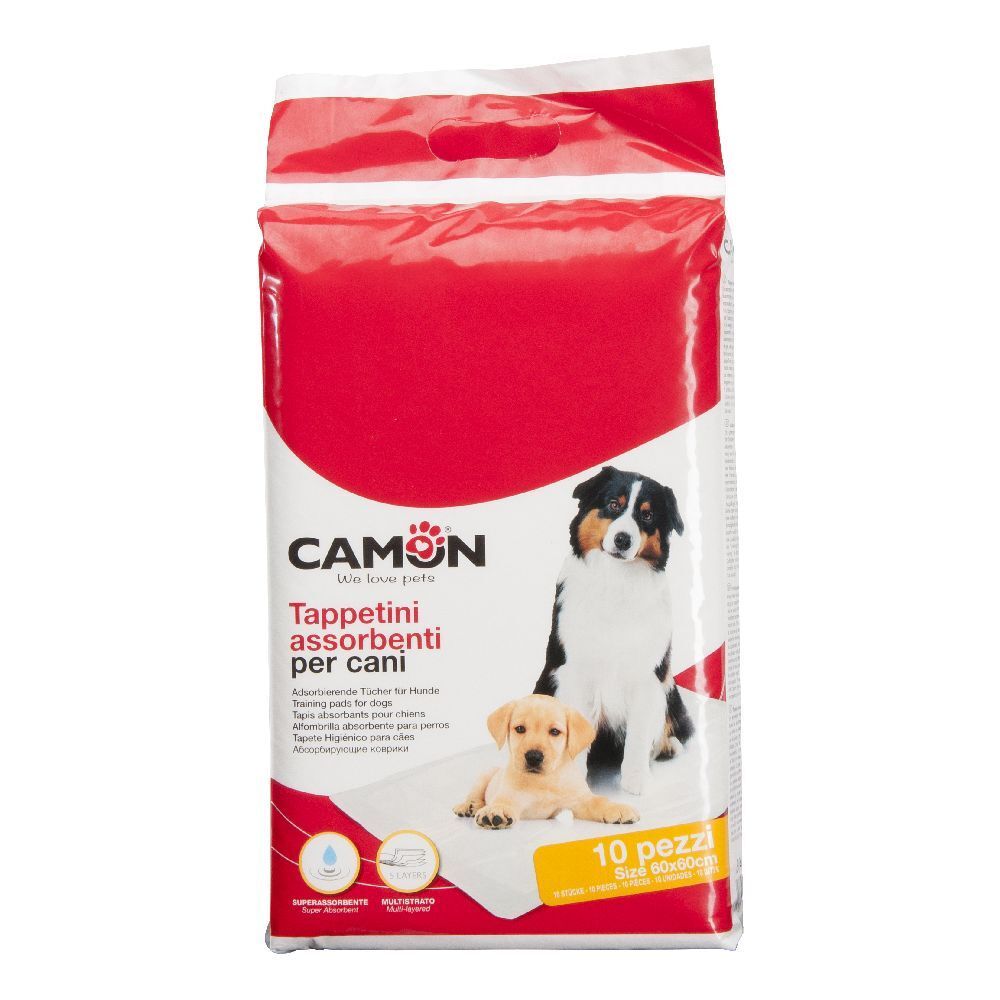 970281667 - TAPPETO ASSORBENTE 60X60CM 10P