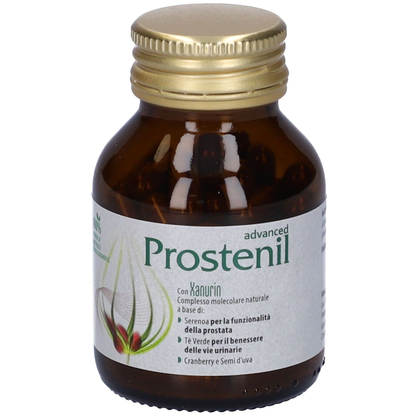 973293943 - PROSTENIL ADVANCED 60CPS