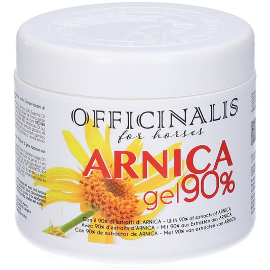 973908597 - ARNICA GEL 90% 500ML