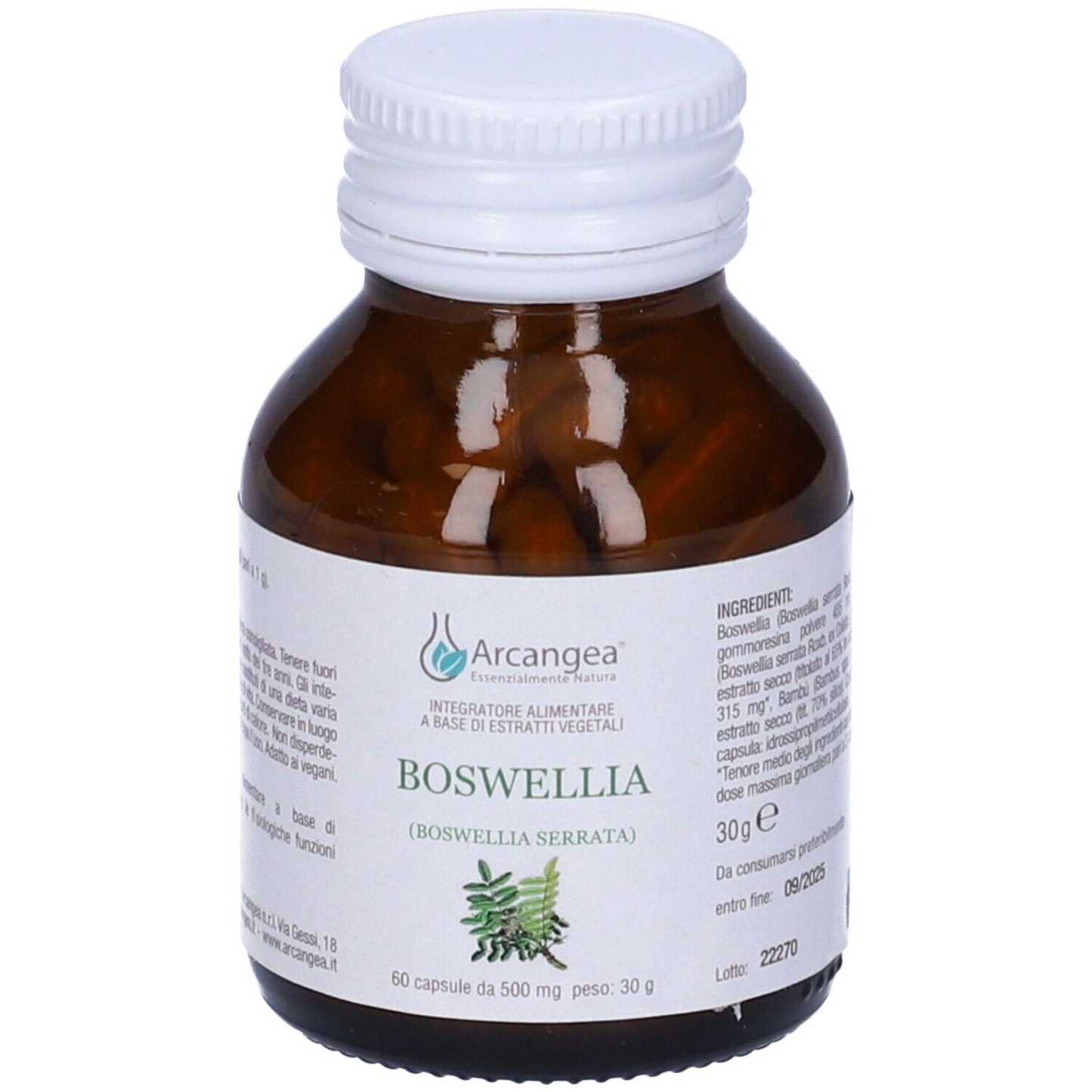 974157467 - BOSWELLIA 60CPS