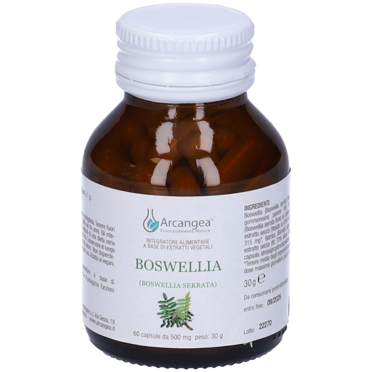 974157467 - BOSWELLIA 60CPS