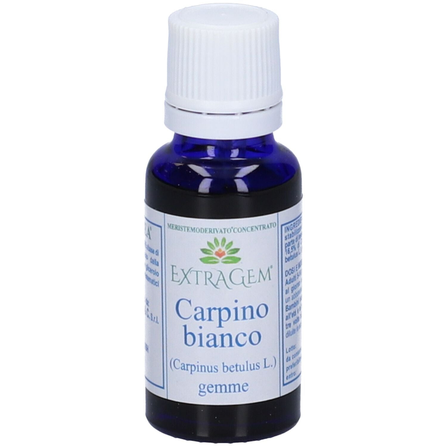 EXTRAGEM Carpino Gemme 20ml