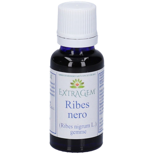 EXTRAGEM Ribes Nero Gemme 20ml